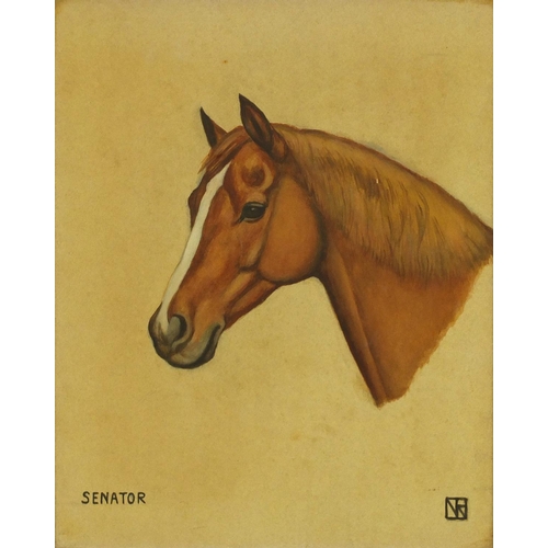 2234 - Two horse heads, Jackie and Senator, pair of watercolours, framed, each 35.5cm x 29.5cm