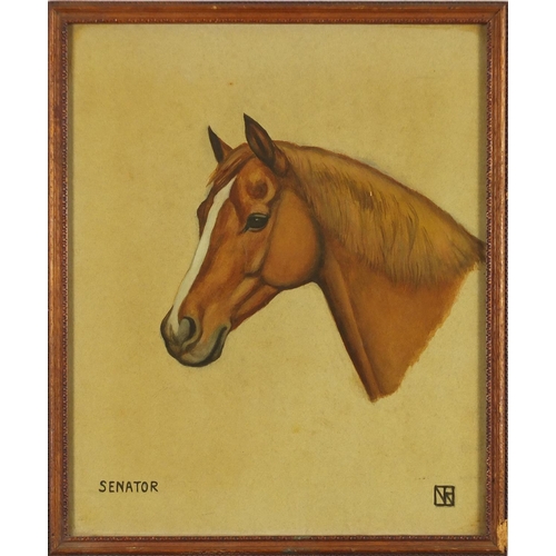 2234 - Two horse heads, Jackie and Senator, pair of watercolours, framed, each 35.5cm x 29.5cm