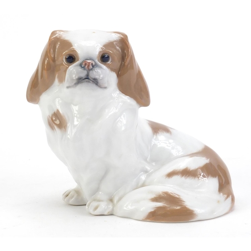 64 - Royal Copenhagen Pekinese dog, numbered 1772, 12.5cm high