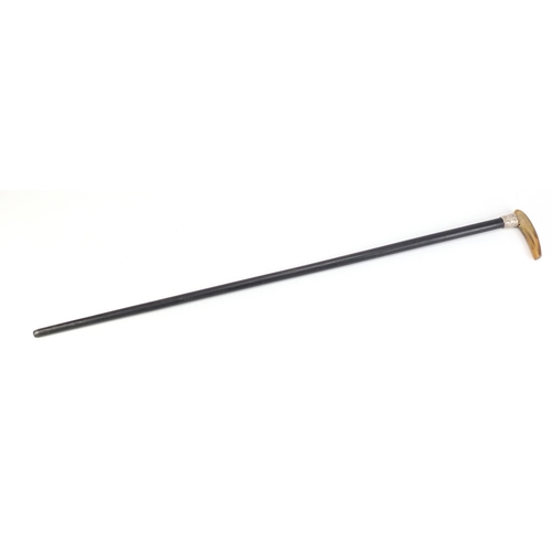 2790 - Horn handled ebonised walking stick with silver collar, 88.5cm in  length