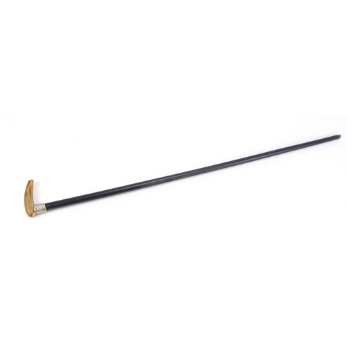 2790 - Horn handled ebonised walking stick with silver collar, 88.5cm in  length