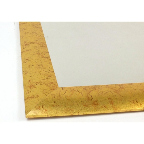 2250 - Rectangular gilt framed wall mirror, 109cm x 78cm