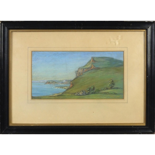 2307 - A Needham - Coastal scene, pastel, mounted and framed, 26cm x 14cm