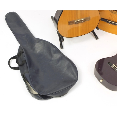 2223 - Three acoustic guitars, two with cases including Jose Ferrer and Palma