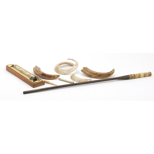 3004 - Objects including antique tusks, a ivory handled pointer and thermometer