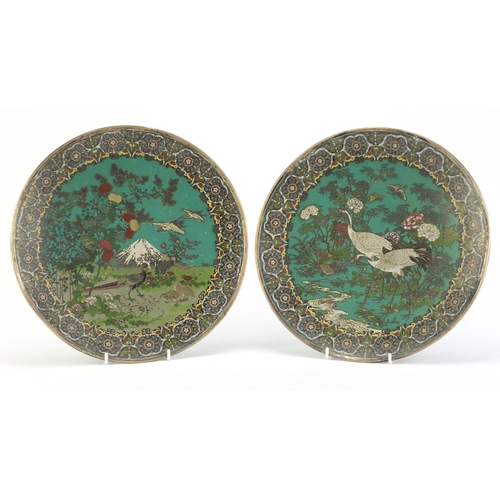 81 - Pair of Japanese Cloisonne plates with unmarked silver rims, each finely enamelled with storks, phea... 