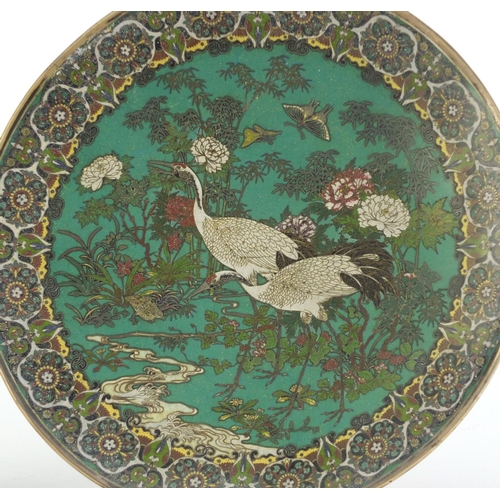 81 - Pair of Japanese Cloisonne plates with unmarked silver rims, each finely enamelled with storks, phea... 