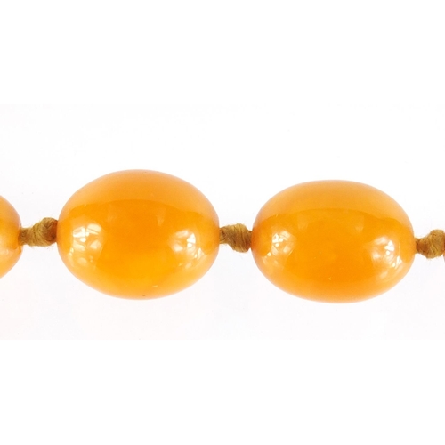 11 - Butterscotch amber coloured bead necklace, 100cm in length, 49.8g