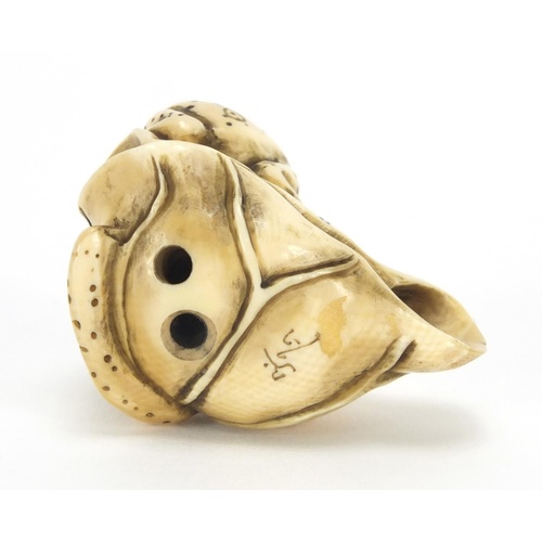 3573 - Japanese carved ivory netsuke of a frog on a flower, character marks to the base, 4.2cm wide