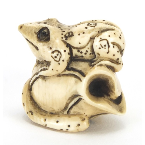 3573 - Japanese carved ivory netsuke of a frog on a flower, character marks to the base, 4.2cm wide