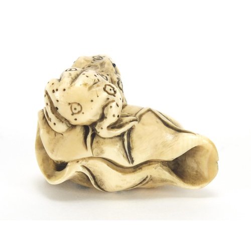 3573 - Japanese carved ivory netsuke of a frog on a flower, character marks to the base, 4.2cm wide