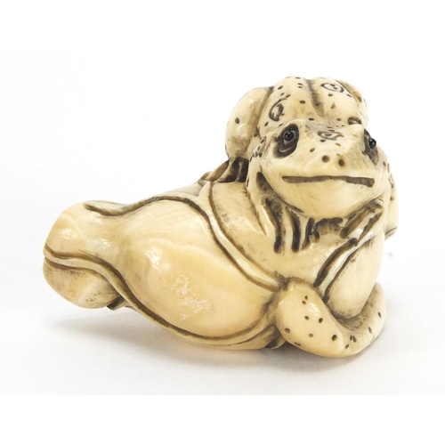 3573 - Japanese carved ivory netsuke of a frog on a flower, character marks to the base, 4.2cm wide