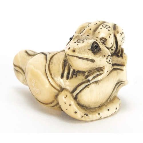 3573 - Japanese carved ivory netsuke of a frog on a flower, character marks to the base, 4.2cm wide