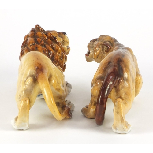 3911 - Two German hand painted porcelain animals by Sitzendorf comprising a lion and lioness, the largest 2... 