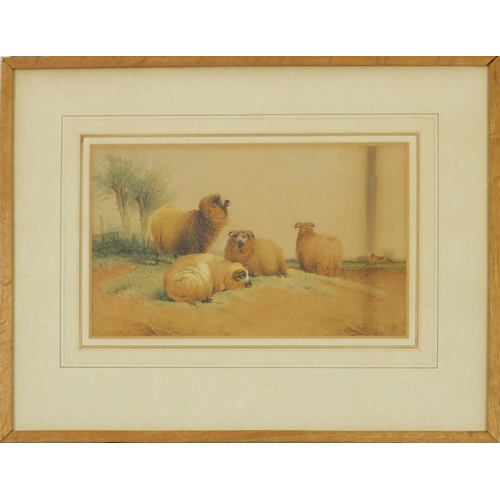 3713 - Frederick E Valter - Sheep in a landscape, Victorian watercolour, mounted, framed and glazed, 25cm x... 