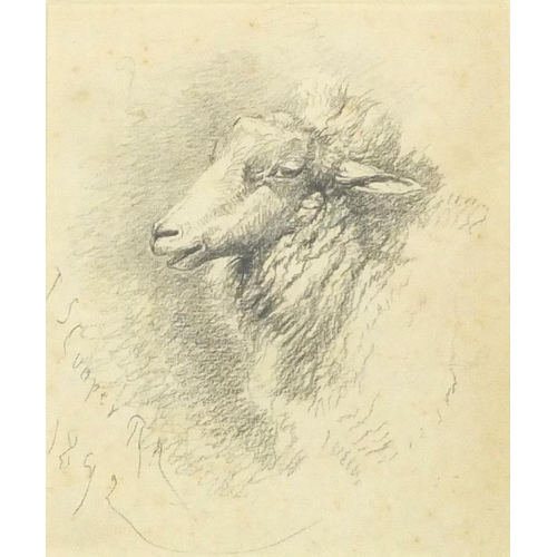 3031 - Thomas Sidney Cooper - Head of a sheep, late 19th century pencil on paper, mounted, framed and glaze... 