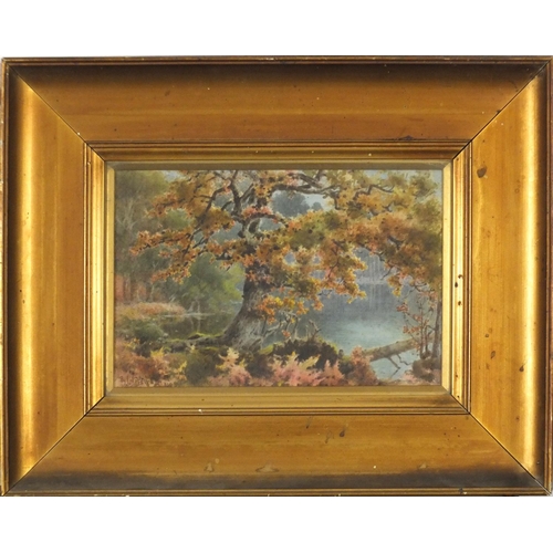 3433 - Benjamin John Ottewell - Tree by water, 19th century watercolour, mounted framed and glazed, 24.5cm ... 