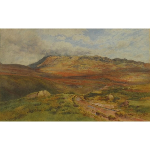 3857 - Cyril Ward 1892 - Landscape, 19th century watercolour, inscribed label verso, mounted, framed and gl... 