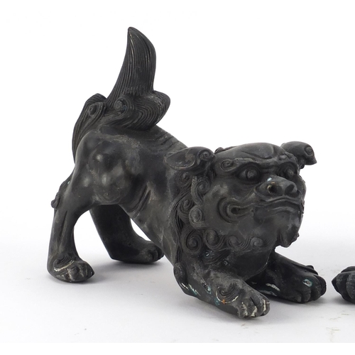 3943 - Pair of Chinese patinated bronze Foo dogs, each 16cm in length