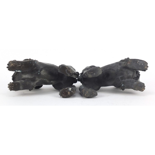 3943 - Pair of Chinese patinated bronze Foo dogs, each 16cm in length