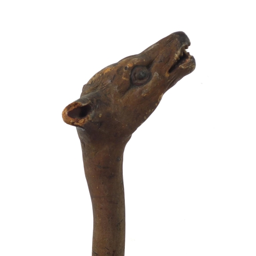 3010 - Naturalistic wooden walking stick with carved hyena's head pommel having teeth and painted eyes, 90c... 