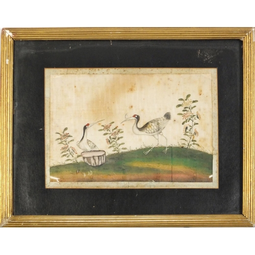 3394 - Chinese pith painting of two cranes in a landscape, mounted and framed, 26cm x 18.5cm