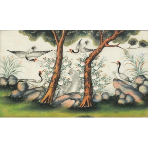 3043 - Good Chinese pith painting of cranes and a mythical bird amongst trees in a landscape, mounted, fram... 