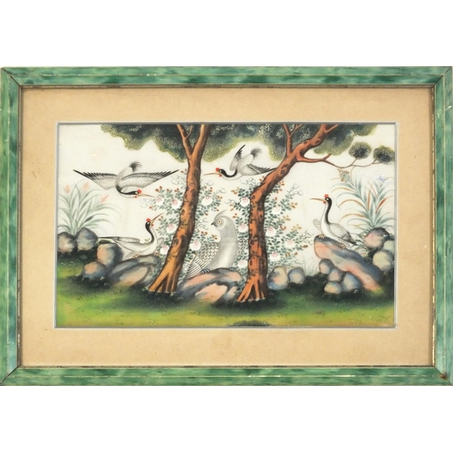 3043 - Good Chinese pith painting of cranes and a mythical bird amongst trees in a landscape, mounted, fram... 