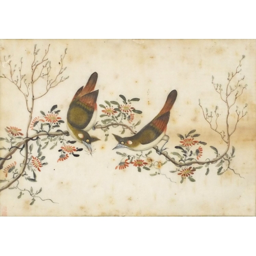 3577 - Chinese painting of two birds on a branch, mounted, framed and glazed, 26cm x 18.5cm