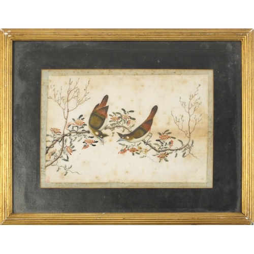 3577 - Chinese painting of two birds on a branch, mounted, framed and glazed, 26cm x 18.5cm