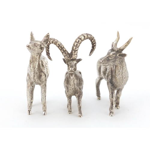 3869 - Three miniature silver animals including a long horn goat, the largest 5.5cm high, 113.0g