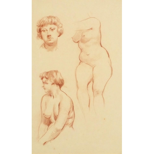 3401 - The female form, sanguine chalk on paper, inscribed E B George verso, mounted, unframed, 42cm x 25cm