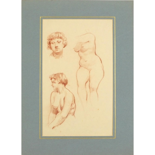 3401 - The female form, sanguine chalk on paper, inscribed E B George verso, mounted, unframed, 42cm x 25cm