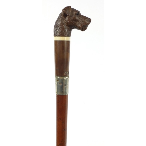 3011 - Malacca walking stick with dog head design pommel, the collar impressed Brigg, 92cm in length