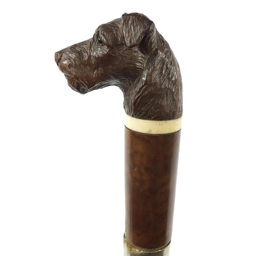 3011 - Malacca walking stick with dog head design pommel, the collar impressed Brigg, 92cm in length