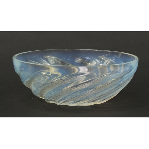 3640 - René Lalique poissons opalescent glass bowl, indistinctly moulded R Lalique to the inside, 24cm in d... 