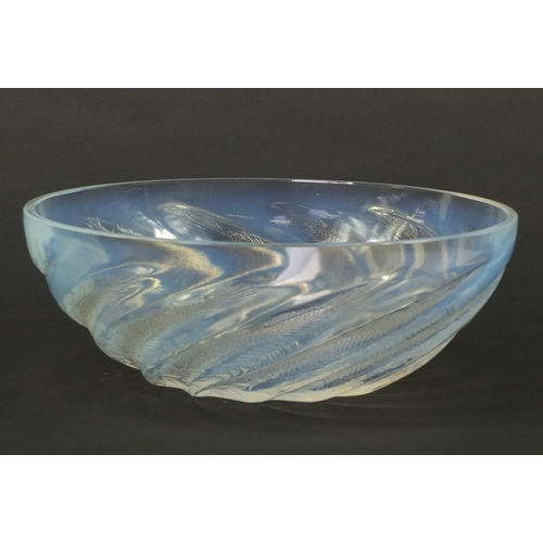 3640 - René Lalique poissons opalescent glass bowl, indistinctly moulded R Lalique to the inside, 24cm in d... 