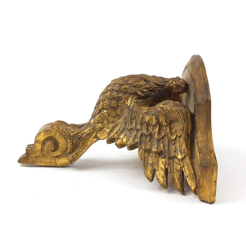 3444 - Classical gilt and gesso eagle design bracket, 27.5cm high