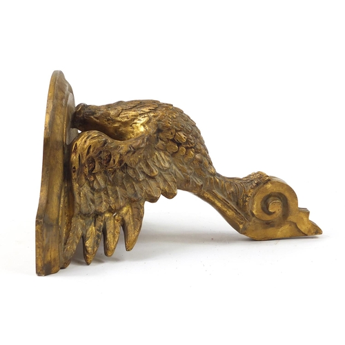 3444 - Classical gilt and gesso eagle design bracket, 27.5cm high