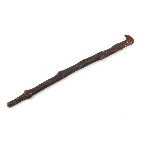 3447 - Naturalistic walking stick with concealed drinking vessel, 93cm in length