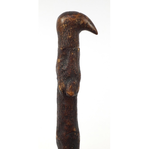 3447 - Naturalistic walking stick with concealed drinking vessel, 93cm in length