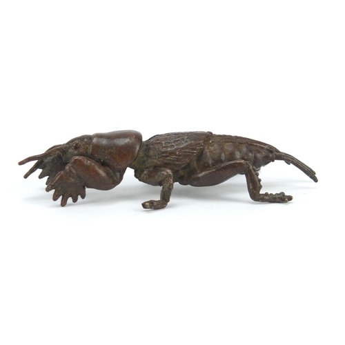 3576 - Japanese patinated bronze insect, impressed marks to the base, 6.5cm in length