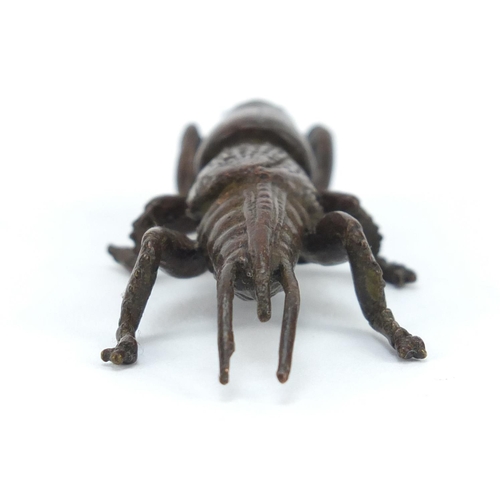 3576 - Japanese patinated bronze insect, impressed marks to the base, 6.5cm in length