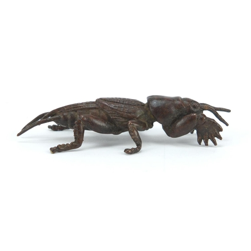 3576 - Japanese patinated bronze insect, impressed marks to the base, 6.5cm in length