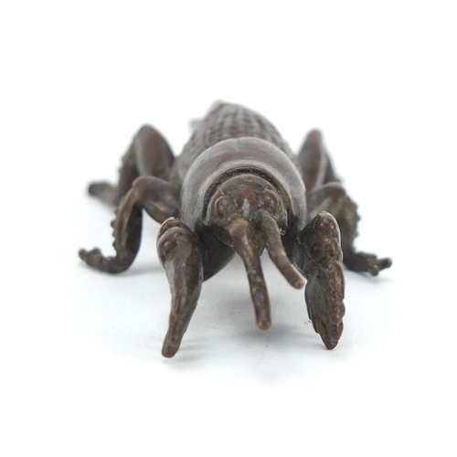 3576 - Japanese patinated bronze insect, impressed marks to the base, 6.5cm in length