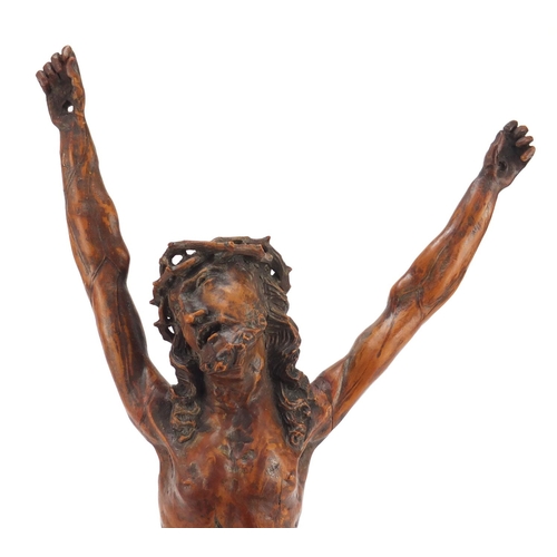 3004 - Good 17th century German school carved fruitwood Corpus Christi with crown of thorns, 37cm high