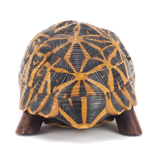 3831 - Anglo-Indian star tortoise tea caddy with ebony, fruitwood and exotic inlay, 24.5cm in length