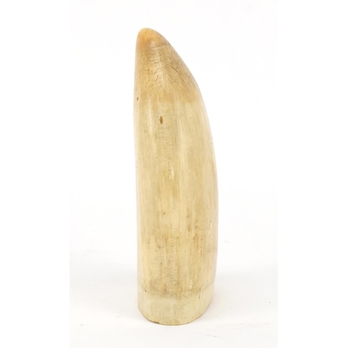 3618 - Ivory sperm wales tooth, 10.5cm high