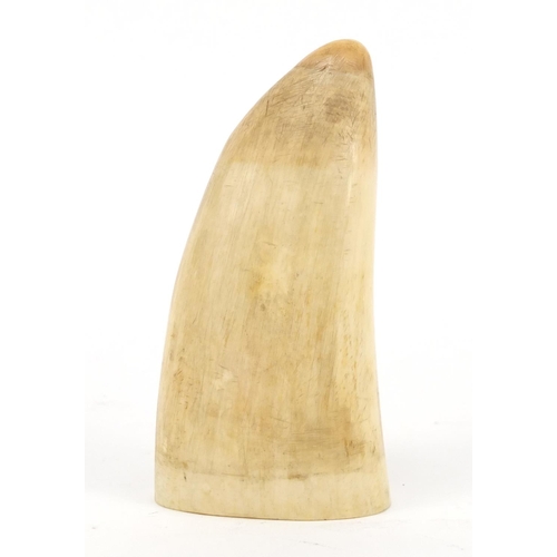 3618 - Ivory sperm wales tooth, 10.5cm high