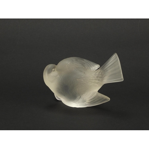 3157 - Lalique frosted glass dove paperweight, signed Lalique France, 10cm high